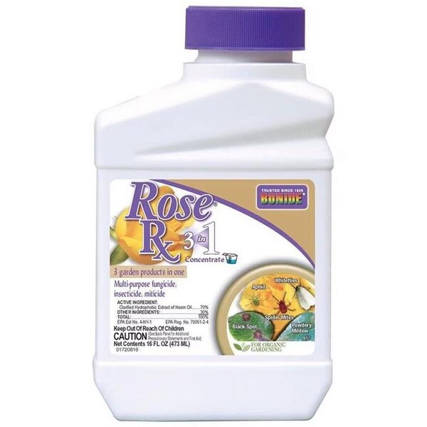 Vortex Pint Captain Jacks Rose RX 3 in 1 Concentrate MP6 VO3312693 - main